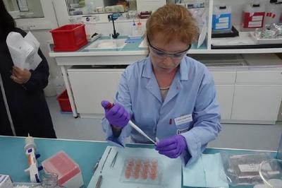 科技與美的碰撞 記者探訪歐萊雅研發(fā)中心與工廠，揭秘圣羅蘭美妝與人造皮膚創(chuàng)新